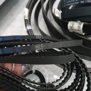 Dây bản L và XL đủ size